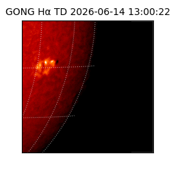 gong - 2026-06-14T13:00:22