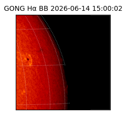 gong - 2026-06-14T15:00:02