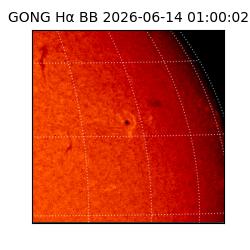 gong - 2026-06-14T01:00:02