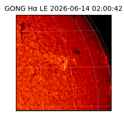 gong - 2026-06-14T02:00:42