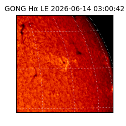 gong - 2026-06-14T03:00:42