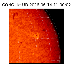 gong - 2026-06-14T11:00:02