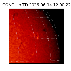 gong - 2026-06-14T12:00:22
