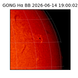 gong - 2026-06-14T19:00:02