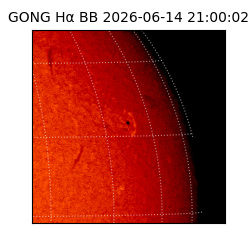 gong - 2026-06-14T21:00:02