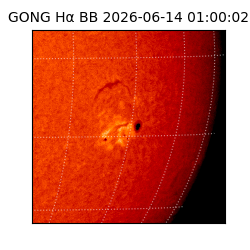 gong - 2026-06-14T01:00:02