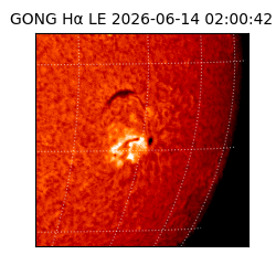 gong - 2026-06-14T02:00:42