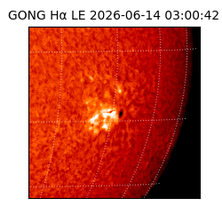 gong - 2026-06-14T03:00:42