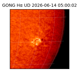 gong - 2026-06-14T05:00:02