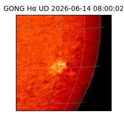 gong - 2026-06-14T08:00:02