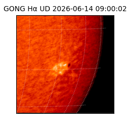 gong - 2026-06-14T09:00:02