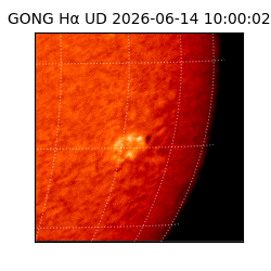 gong - 2026-06-14T10:00:02