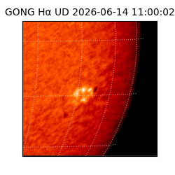 gong - 2026-06-14T11:00:02