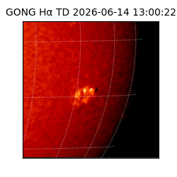 gong - 2026-06-14T13:00:22