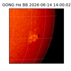 gong - 2026-06-14T14:00:02