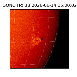 gong - 2026-06-14T15:00:02