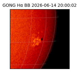 gong - 2026-06-14T20:00:02
