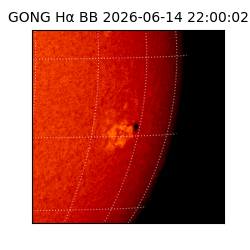 gong - 2026-06-14T22:00:02