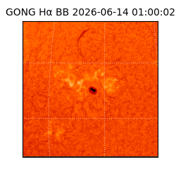 gong - 2026-06-14T01:00:02