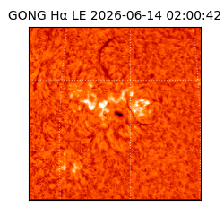 gong - 2026-06-14T02:00:42