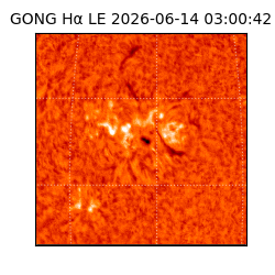 gong - 2026-06-14T03:00:42