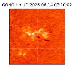 gong - 2026-06-14T07:10:02