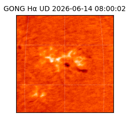 gong - 2026-06-14T08:00:02