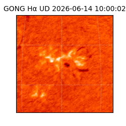 gong - 2026-06-14T10:00:02