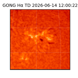 gong - 2026-06-14T12:00:22