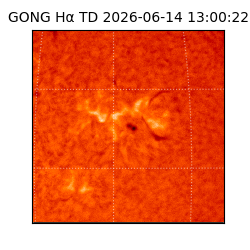 gong - 2026-06-14T13:00:22