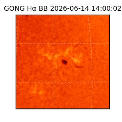 gong - 2026-06-14T14:00:02