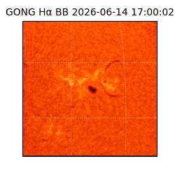 gong - 2026-06-14T17:00:02