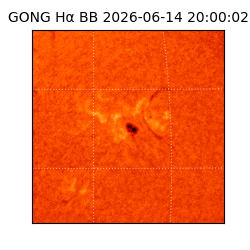 gong - 2026-06-14T20:00:02