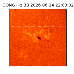 gong - 2026-06-14T22:00:02