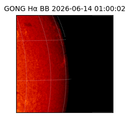 gong - 2026-06-14T01:00:02