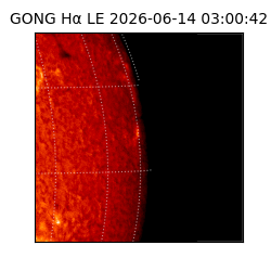 gong - 2026-06-14T03:00:42