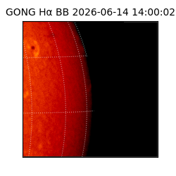 gong - 2026-06-14T14:00:02