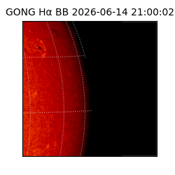gong - 2026-06-14T21:00:02