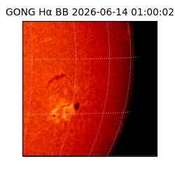 gong - 2026-06-14T01:00:02