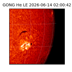 gong - 2026-06-14T02:00:42