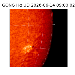gong - 2026-06-14T09:00:02