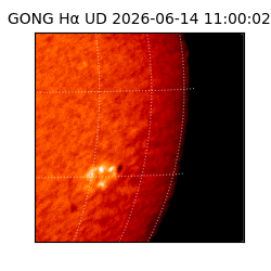 gong - 2026-06-14T11:00:02
