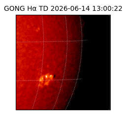 gong - 2026-06-14T13:00:22