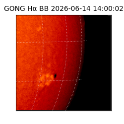 gong - 2026-06-14T14:00:02