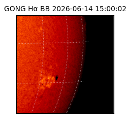 gong - 2026-06-14T15:00:02