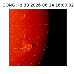 gong - 2026-06-14T16:00:02