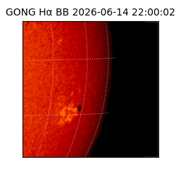 gong - 2026-06-14T22:00:02