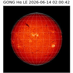 gong - 2026-06-14T02:00:42