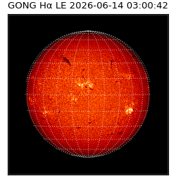 gong - 2026-06-14T03:00:42
