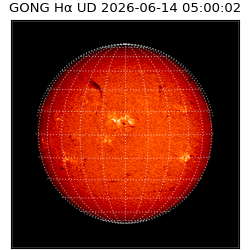 gong - 2026-06-14T05:00:02